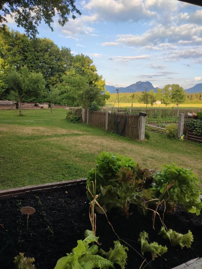 Apartmán Schoberkurve Raubling Exteriér fotografie
