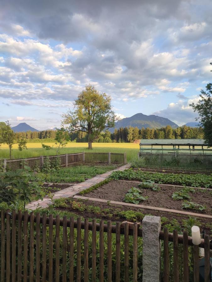 Apartmán Schoberkurve Raubling Exteriér fotografie
